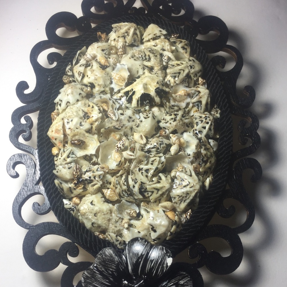 Seashells wall hanging decor